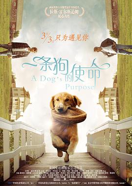 国内精品久久久久影院嫩草